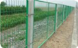 Chain Link Fence